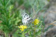 image0203
