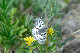 image0204