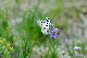 image0206