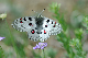 image0208