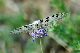 image0211