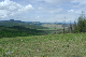 image0213