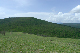 image0215