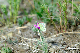 image0217