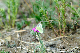 image0218