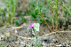 image0219