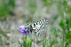 image0220