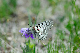 image0221