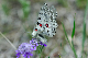 image0222