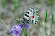 image0223