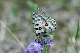 image0224