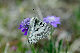 image0226