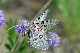 image0227