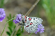 image0228