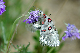image0230