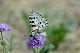 image0232