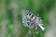 image0234
