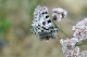 image0235