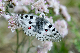 image0236