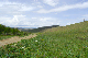 image0238
