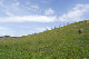image0239