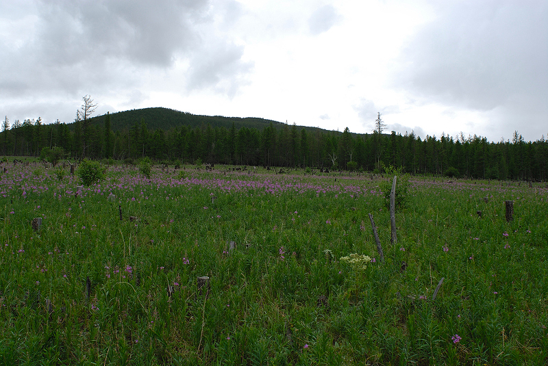 image0096