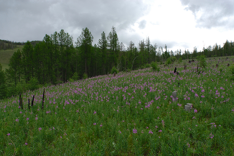image0097