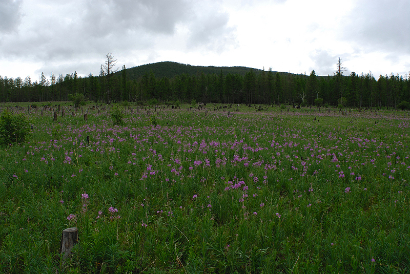 image0098