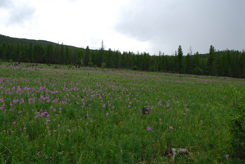 image0099