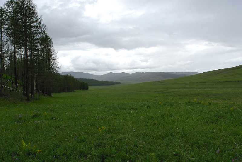 image0100