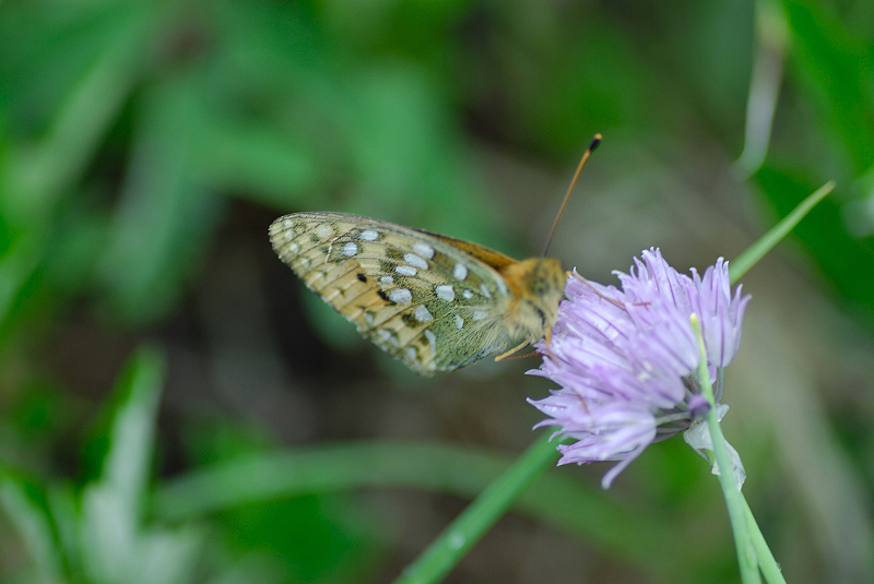 image0103