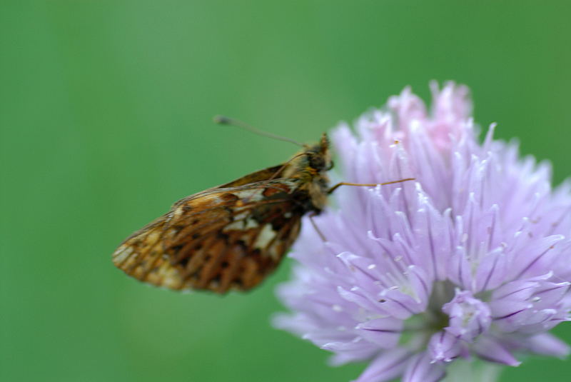 image0104