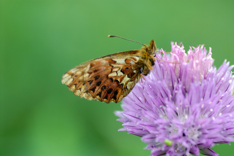 image0116