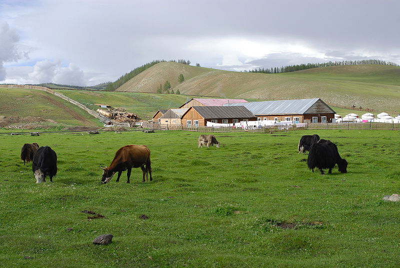 image0118