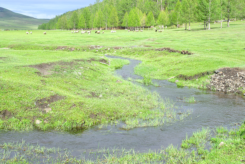 image0120