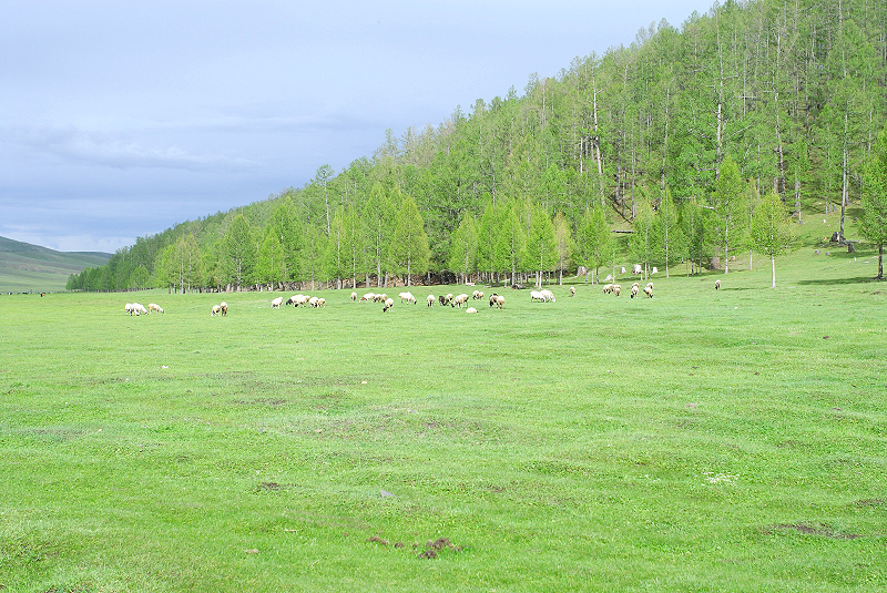image0123