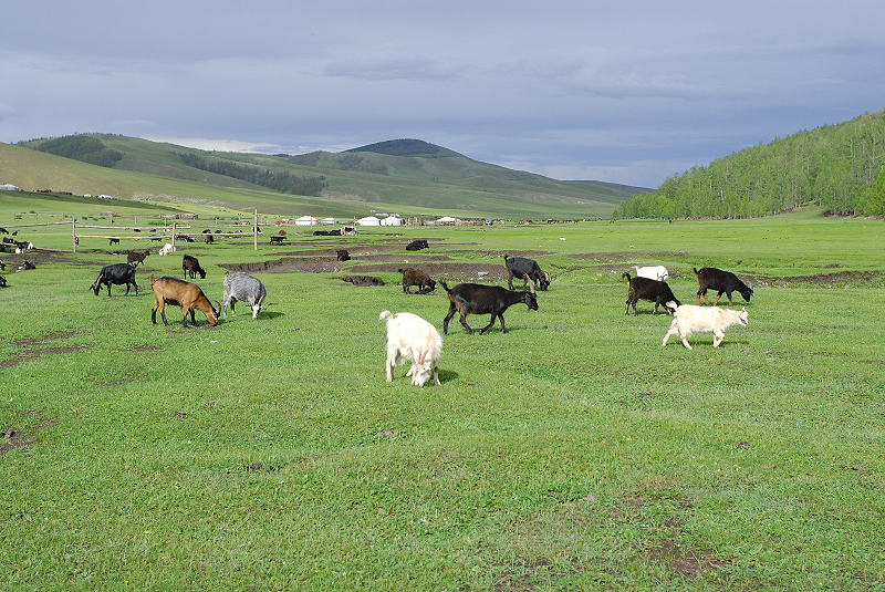 image0125