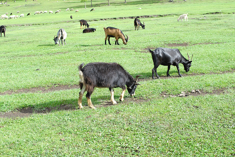 image0126