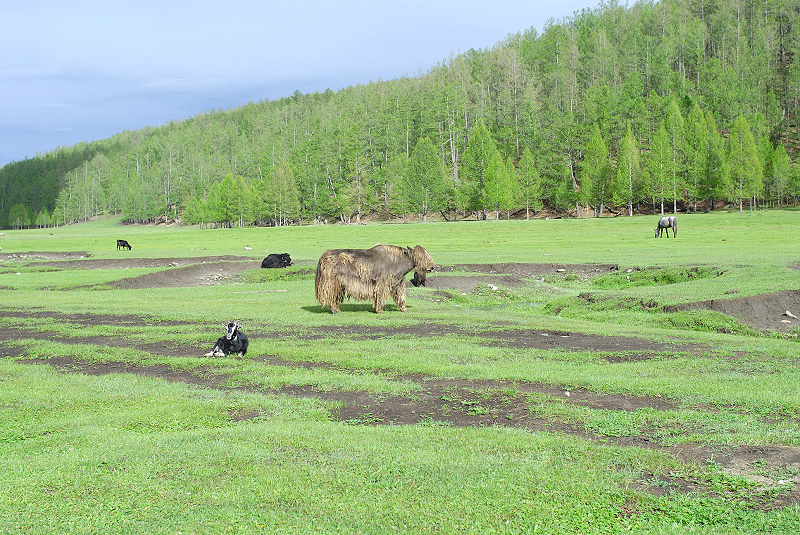 image0127