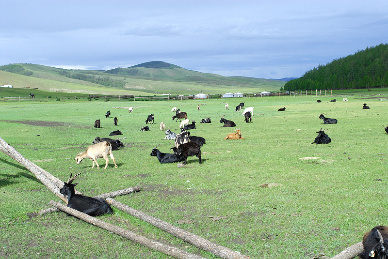 image0128