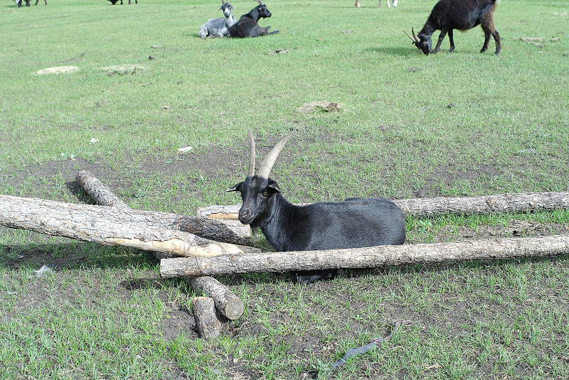image0129