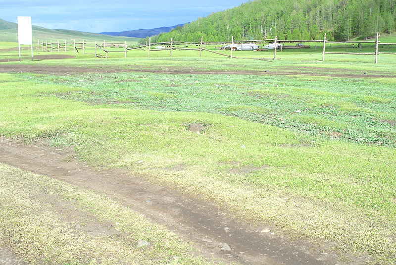 image0132