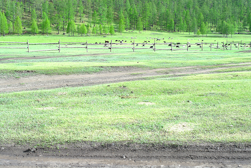 image0134