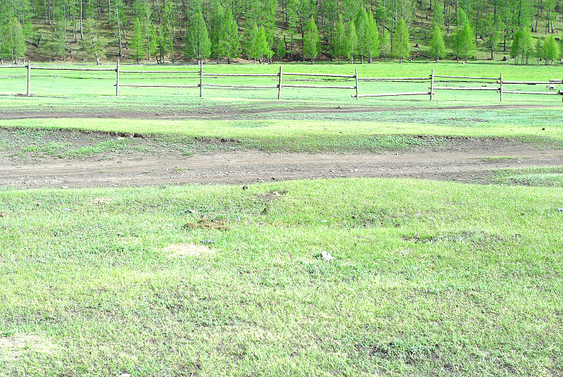 image0135