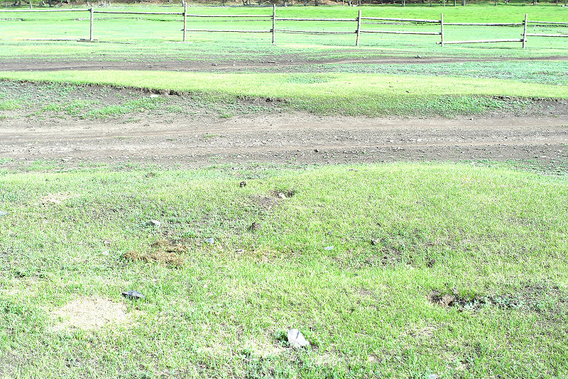 image0136