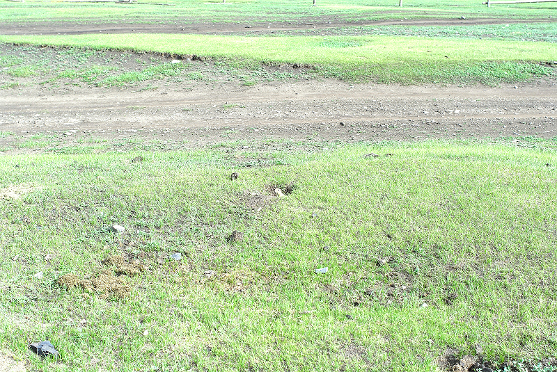 image0137