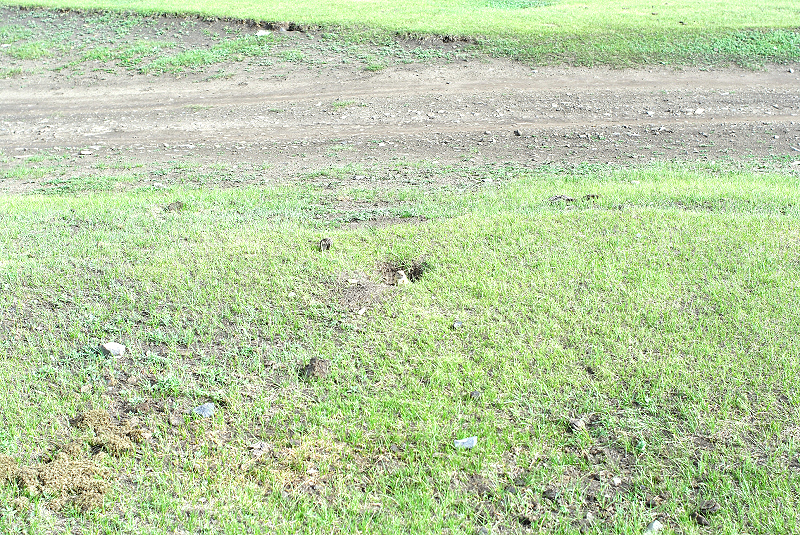 image0138