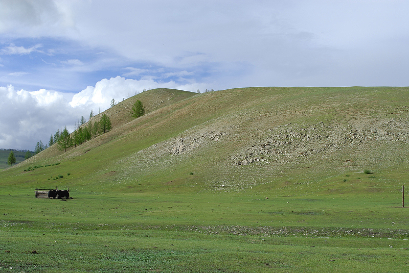 image0139