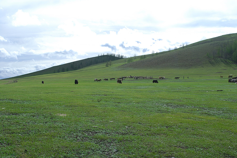 image0140
