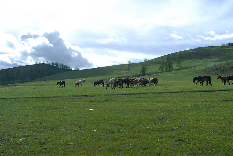 image0144